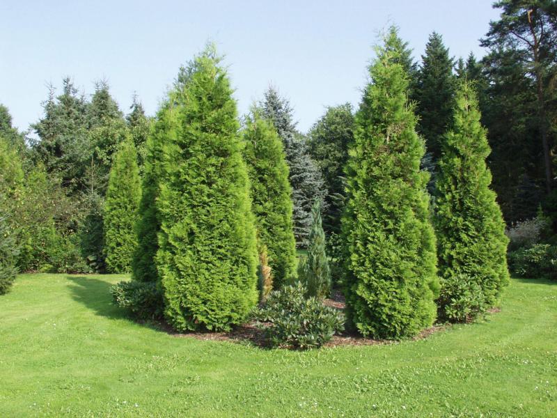 Ferienpark Leitzingen Soltau Exteriér fotografie